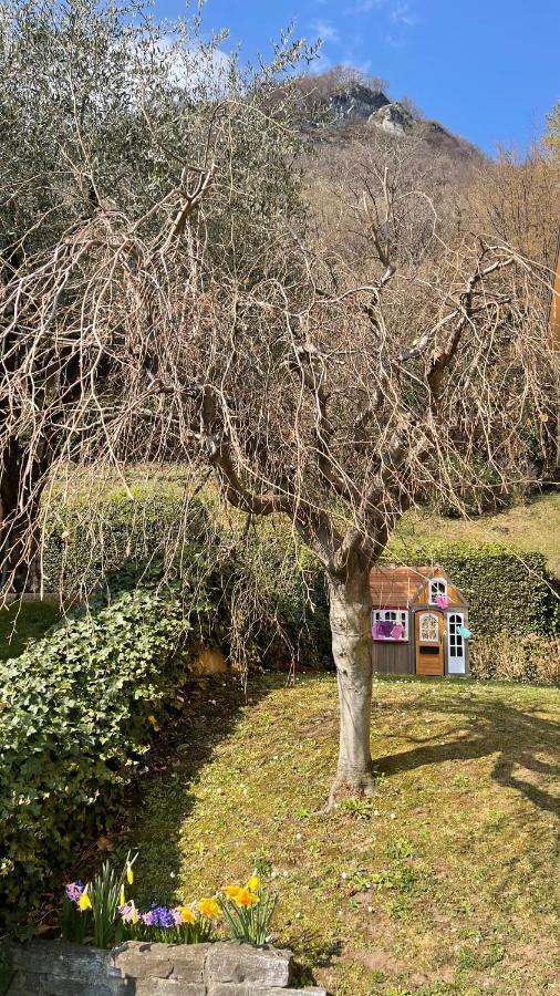 Apartamento Few Steps To The Heart Of Menaggio, Swimming Pool, Breathtaking View Exterior foto